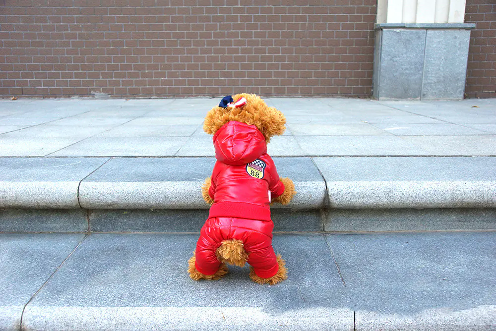 Autumn Winter Pet Down Cotton Jacket