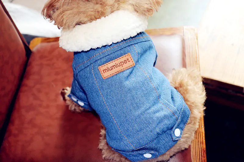 Thick Warm Dog Cotton Jacket