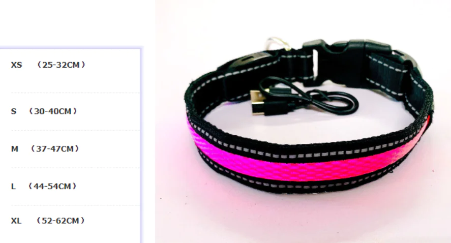 LED Dog Leash with Fluorescent Collar