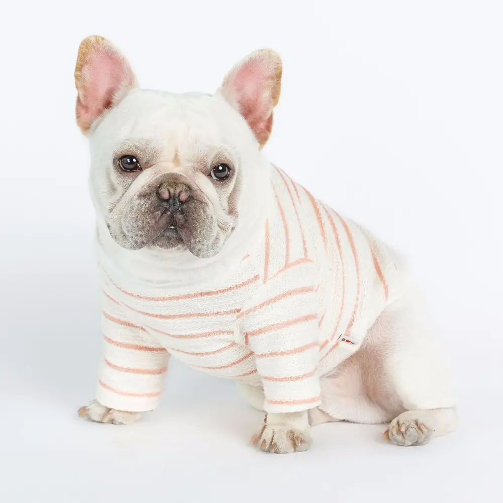 Dog Clothes for Small Breeds
